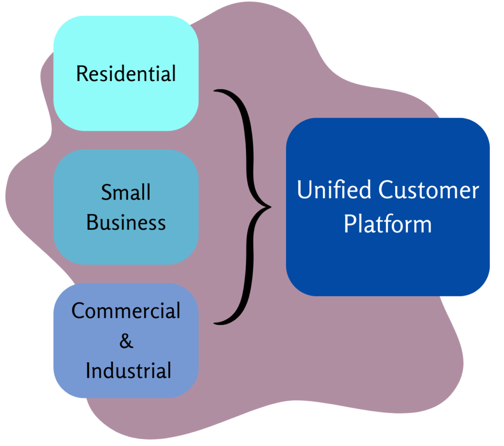Unified Customer Platform
